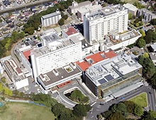 大学 医学部 千葉